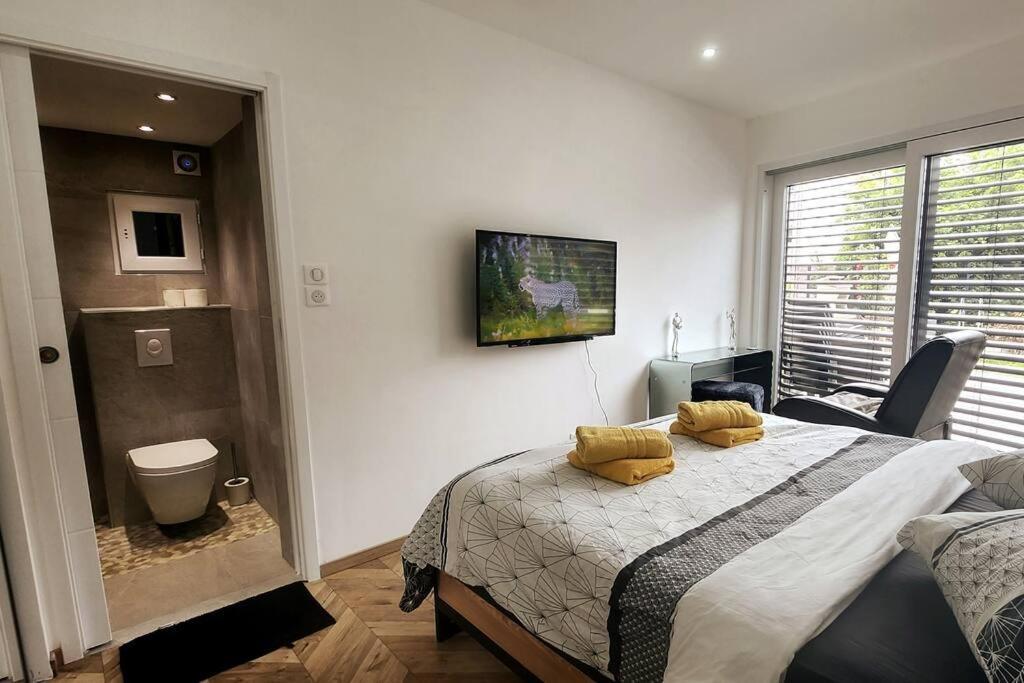Suite Prestige Logement Neuf Avec Spa Et Ecran De Cinema En Rez De Jardin Кольмар Экстерьер фото