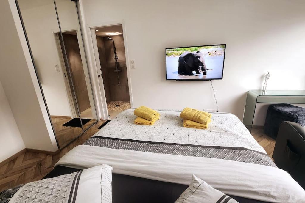 Suite Prestige Logement Neuf Avec Spa Et Ecran De Cinema En Rez De Jardin Кольмар Экстерьер фото